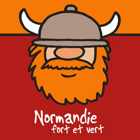 Chaussette Viking 42/46