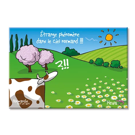 Magnet "Phénomène"